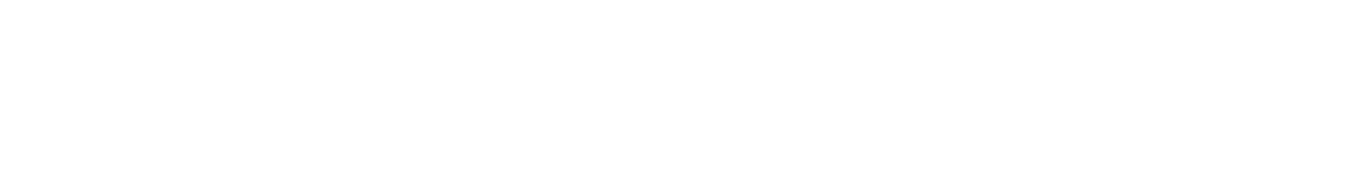 Execute Media
